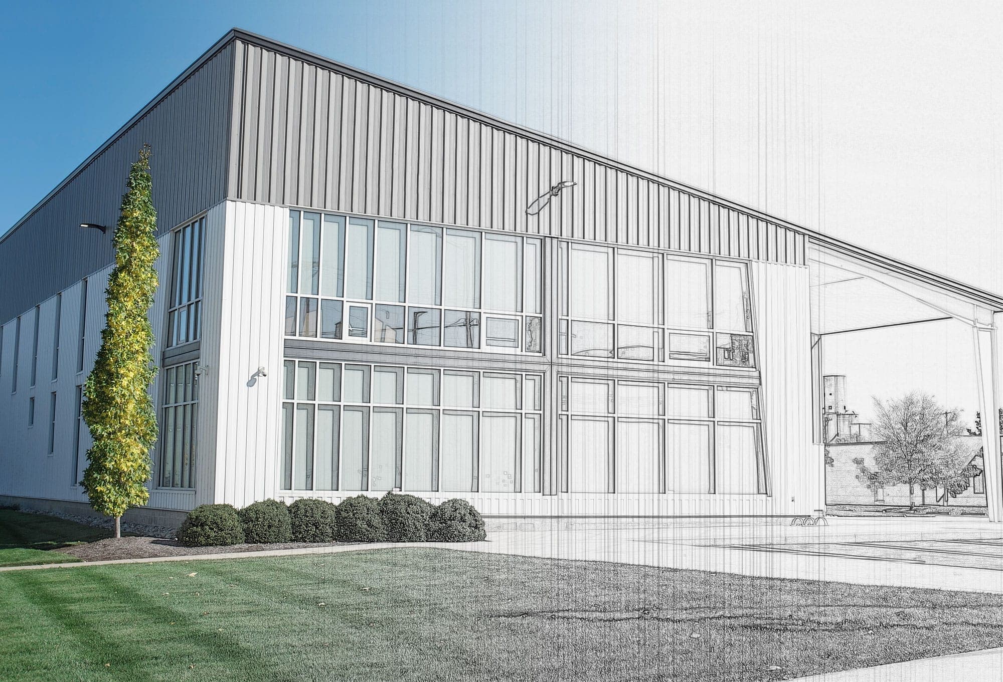Commercial Building by RB Thomas Waikato builders